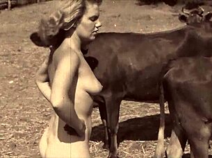 Vintage Erotic Animal Porn - Best Antique XXX: Ancient porno videos straight from the vault - ATUBE.XXX